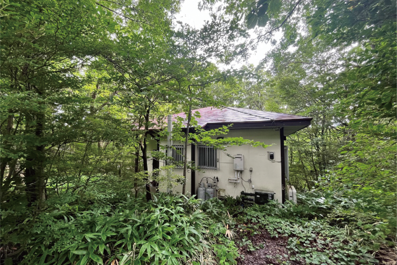 House in Nasu, Tochigi: Exterior