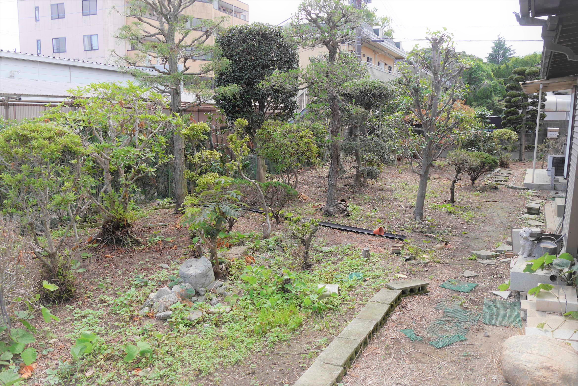 外観／内観の写真