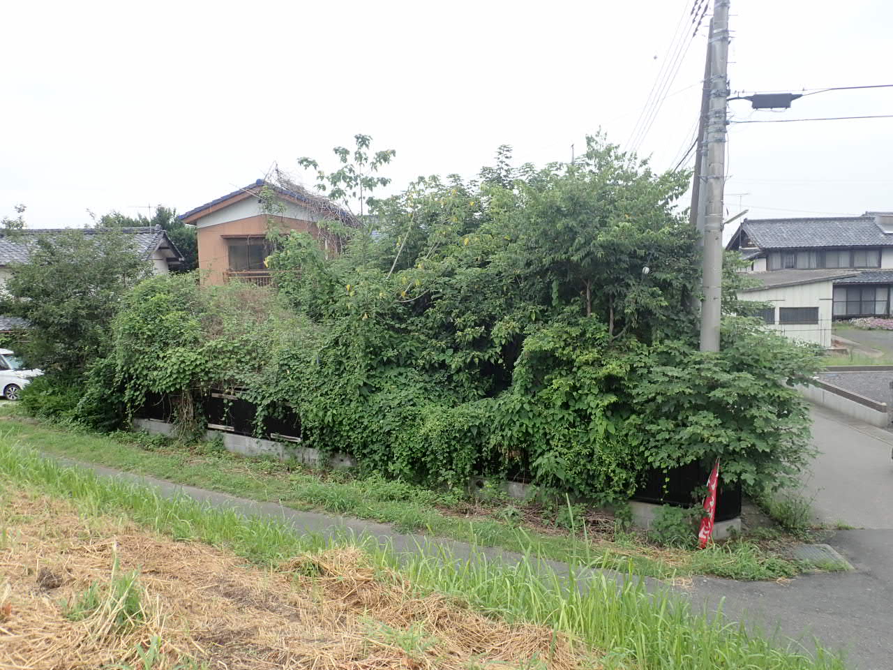 外観／内観の写真