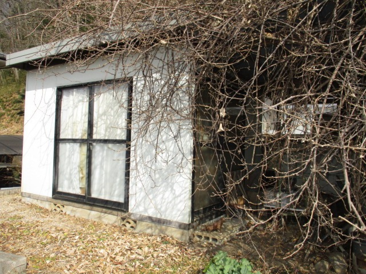 外観／内観の写真