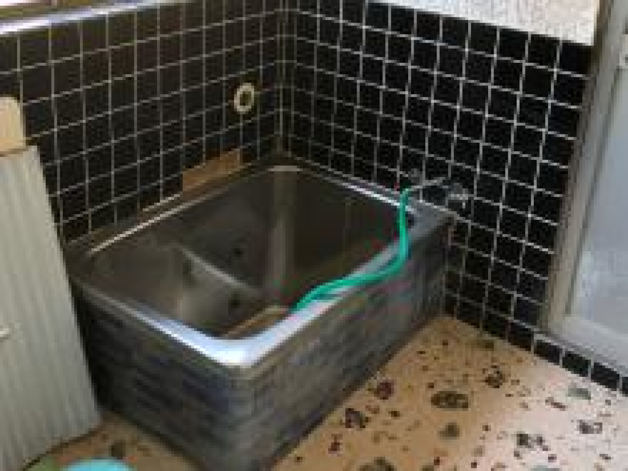 外観／内観の写真