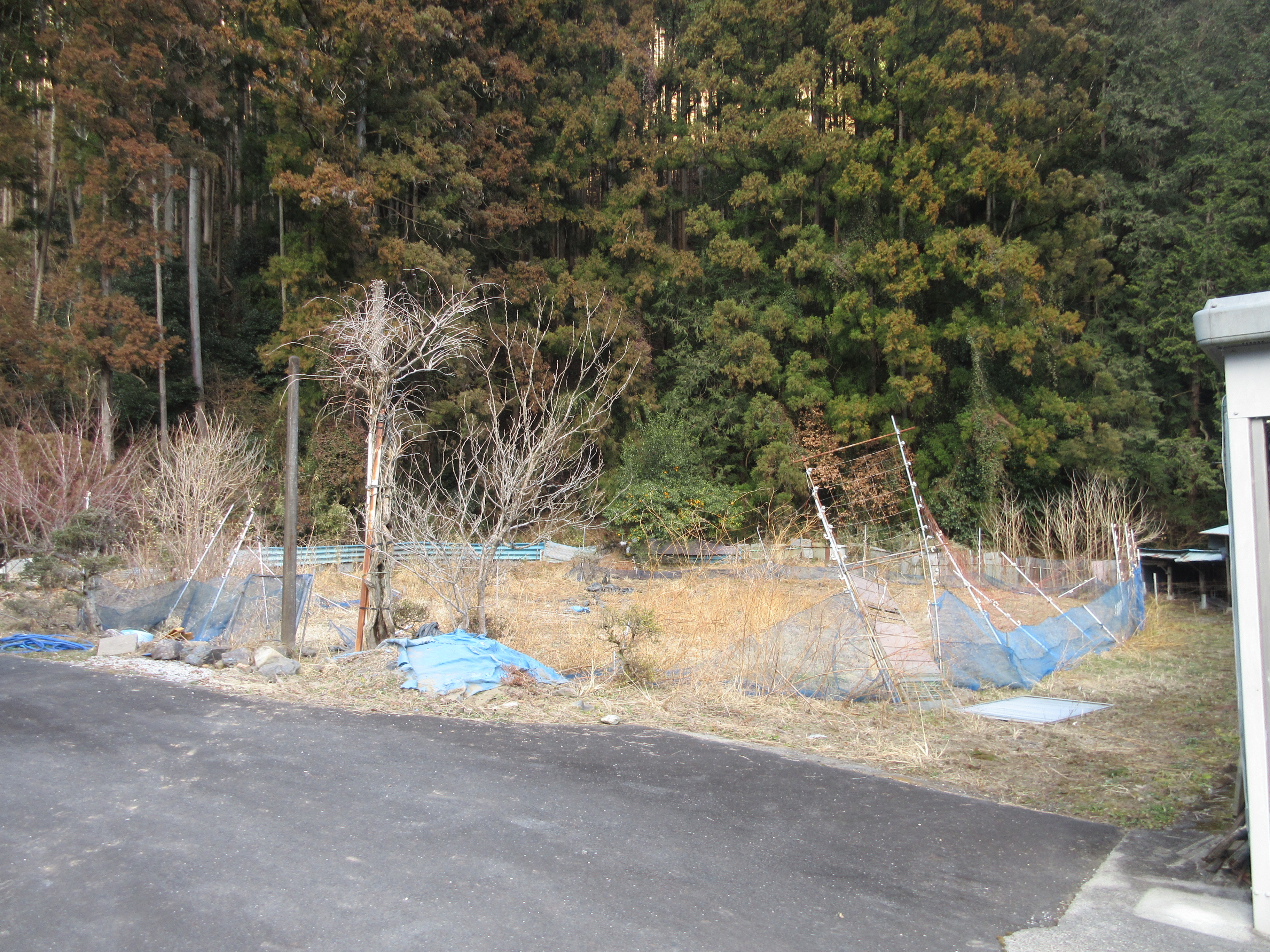 外観／内観の写真