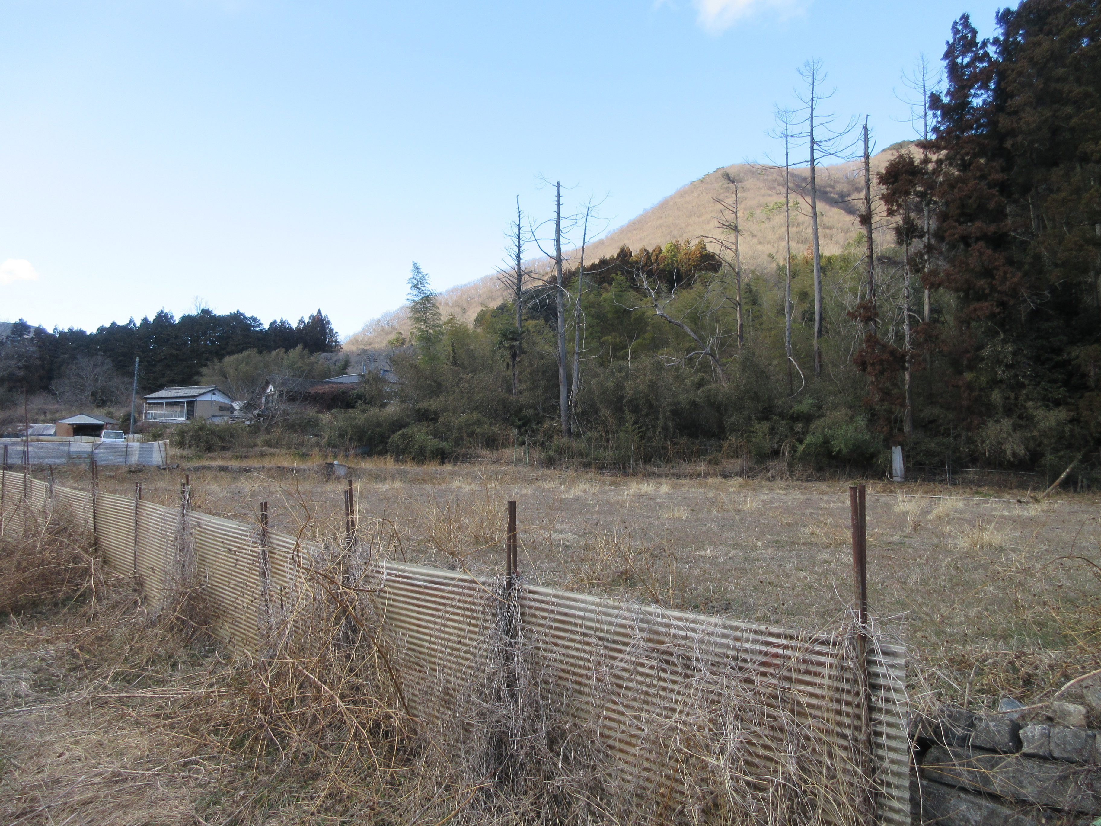 外観／内観の写真