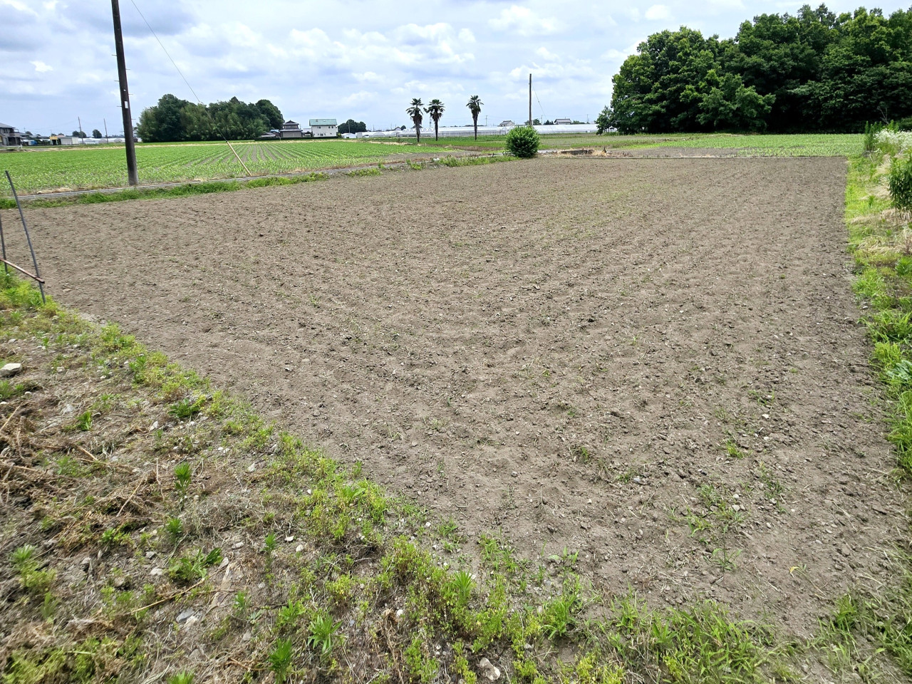 外観／内観の写真