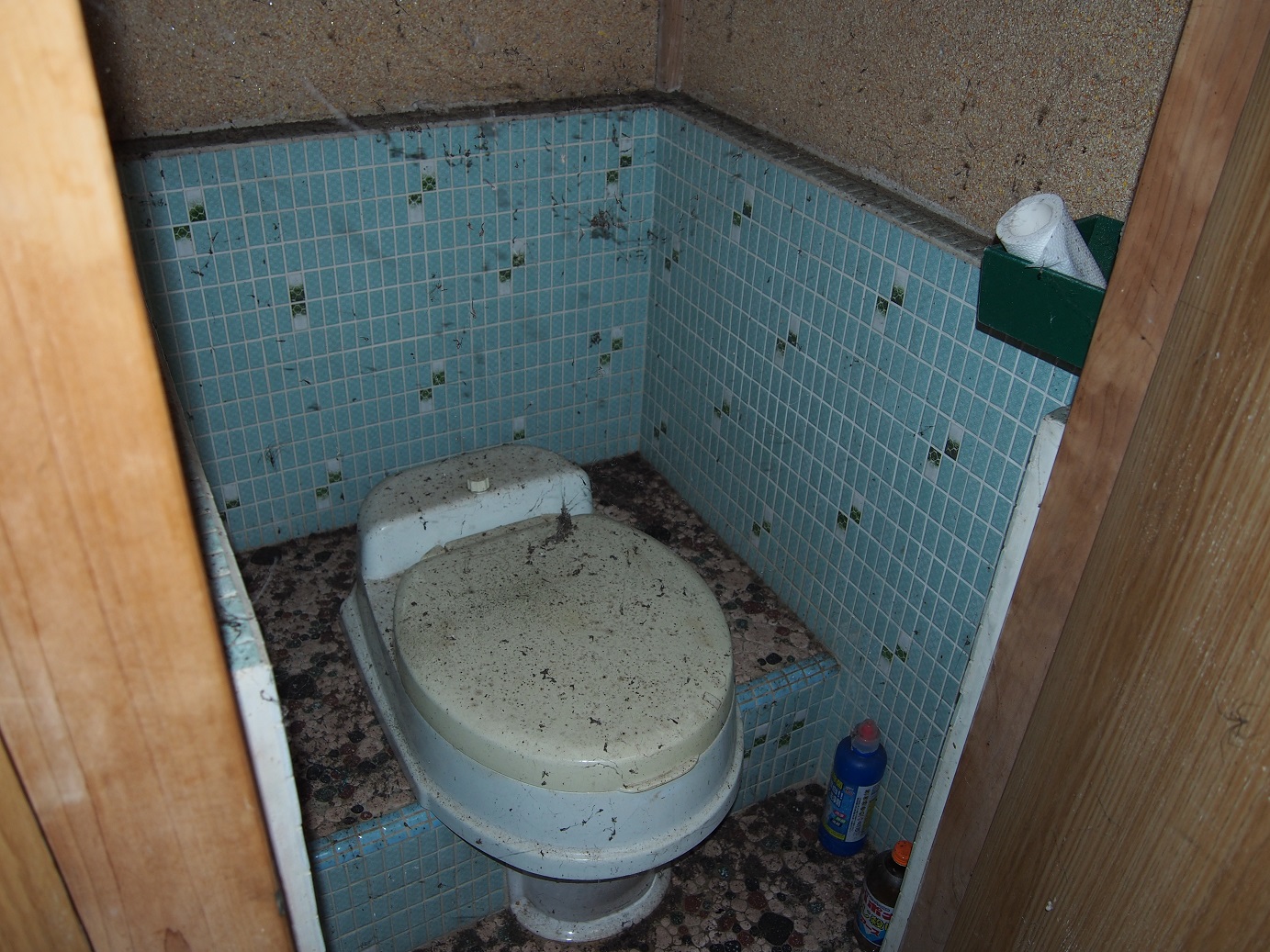 外観／内観の写真