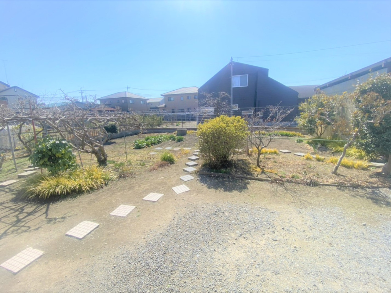 外観／内観の写真