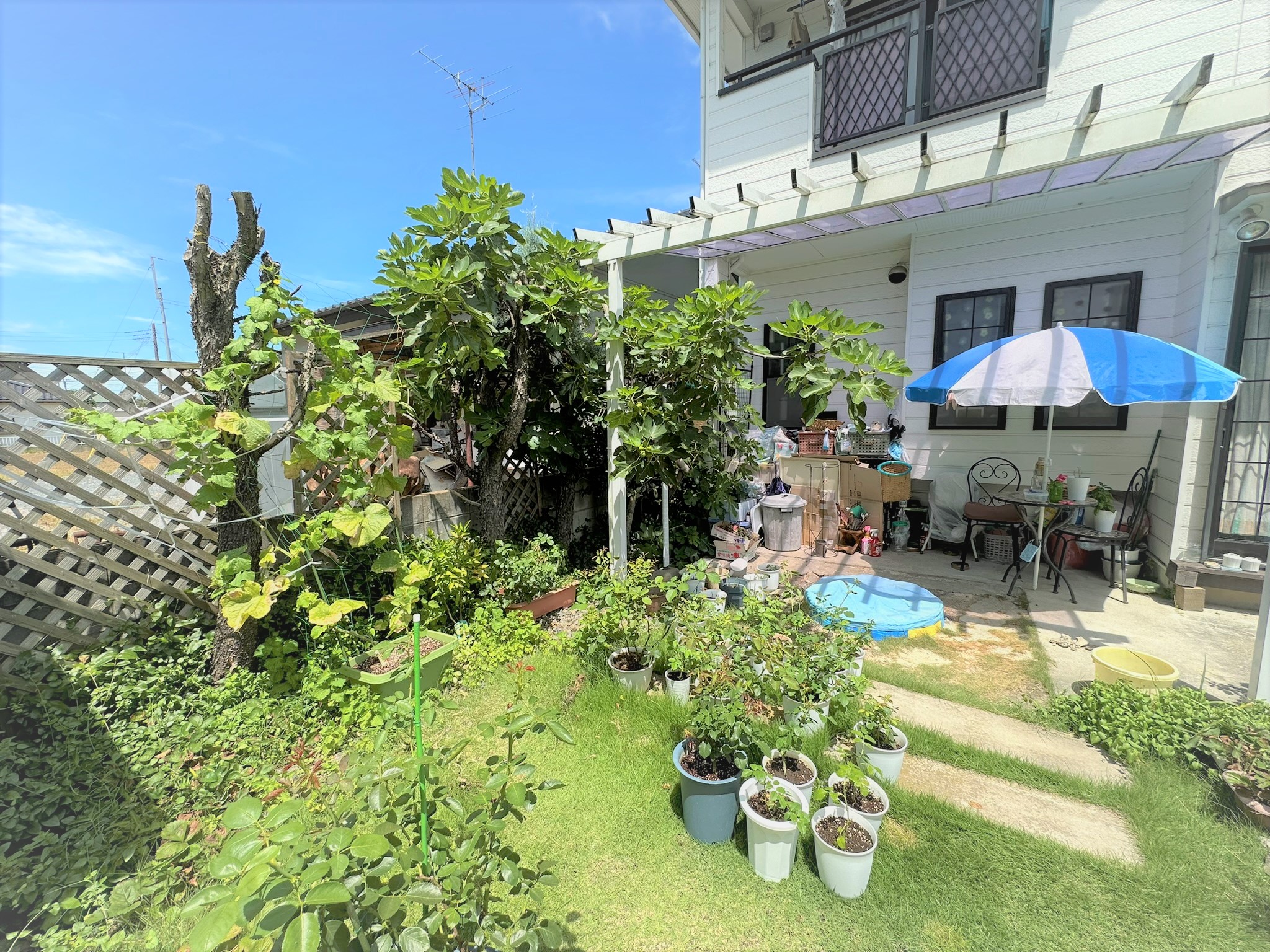 外観／内観の写真